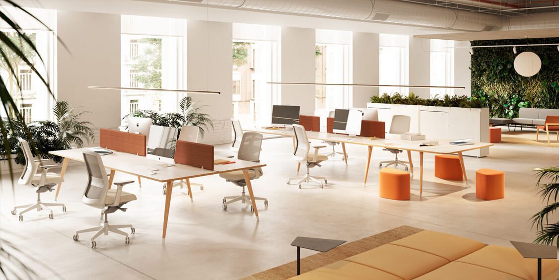 oficinas inclusivas